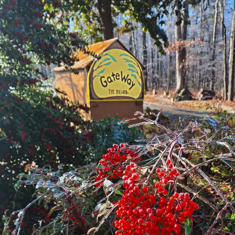 “GateWay” to Grace and Peace